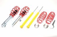 Coilover Ford Fiesta JH1, JD3 etuaks.max 900 kg taka-aks.max 800 kg, Ta-Technix