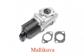 EGR-venttiili Fiat Stilo (192) 1.9 JTD/1.9 D Multijet74/85/88kW vm:10.2001 - 08.2008